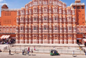 Jaipur: Sightseeing Tour with Visit to Galtaji Monkey Temple