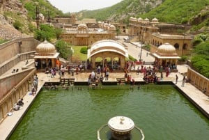 Jaipur: Sightseeing Tour with Visit to Galtaji Monkey Temple