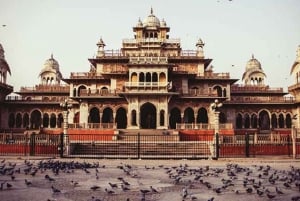 Jaipur: Sightseeing Tour with Visit to Galtaji Monkey Temple