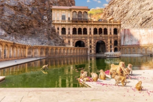 Jaipur: Sightseeing Tour with Visit to Galtaji Monkey Temple
