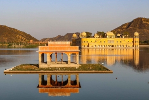 Jaipur: Sightseeing Tour with Visit to Galtaji Monkey Temple