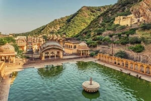 Jaipur privétempeltour en geniet van de Monkey Temple