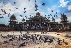Jaipur: Private Tour for Instagram and Photography Lovers