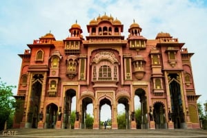 Jaipur : Visite touristique d'une journée avec guide et déjeuner