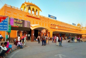 Jaipur: Yksityinen kuljetus Ranthamboren kansallispuistoon / Ranthamboren kansallispuistosta.