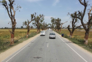 Jaipur: Yksityinen kuljetus Ranthamboren kansallispuistoon / Ranthamboren kansallispuistosta.