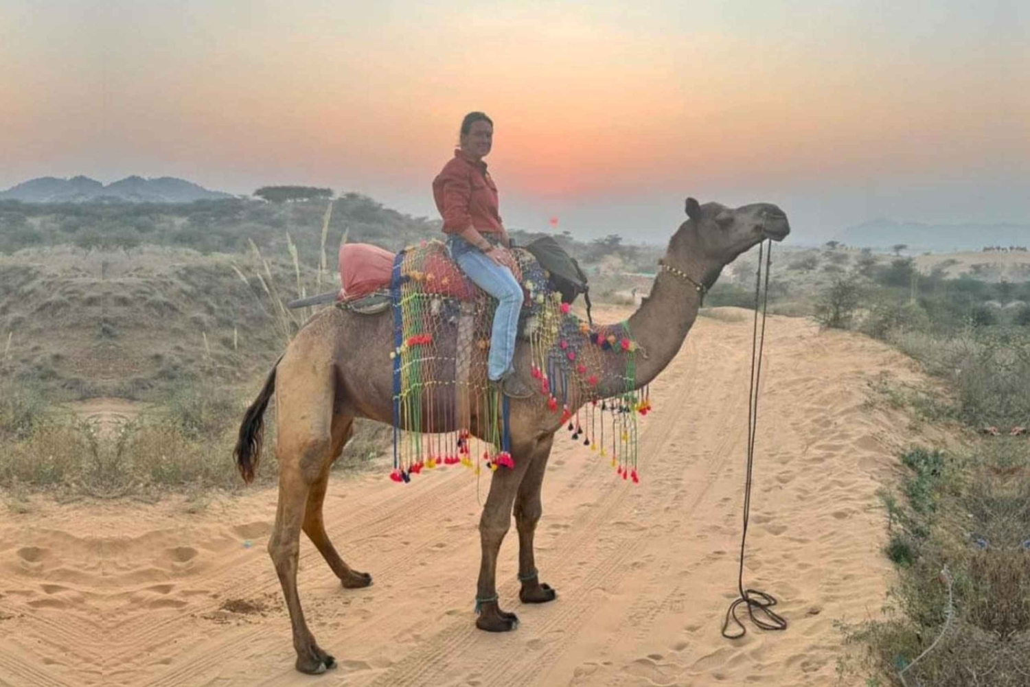 ジャイプールプシュカル日帰りツアーとキャメルサファリ（オプショナル