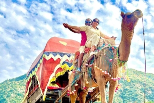 ジャイプールプシュカル日帰りツアーとキャメルサファリ（オプショナル