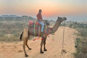 ジャイプールプシュカル日帰りツアーとキャメルサファリ（オプショナル