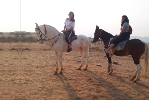 ジャイプールプシュカル日帰りツアーとキャメルサファリ（オプショナル