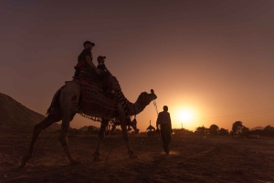 ジャイプールプシュカル日帰りツアーとキャメルサファリ（オプショナル