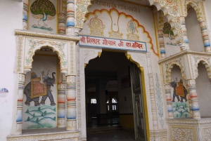 ジャイプールプシュカル日帰りツアーとキャメルサファリ（オプショナル