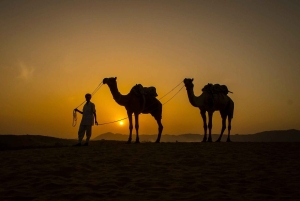 ジャイプールプシュカル日帰りツアーとキャメルサファリ（オプショナル