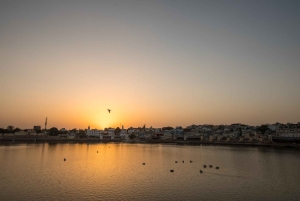 ジャイプールプシュカル日帰りツアーとキャメルサファリ（オプショナル