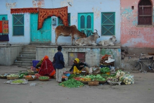 ジャイプールプシュカル日帰りツアーとキャメルサファリ（オプショナル