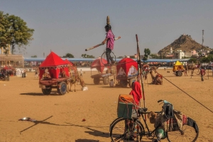 ジャイプールプシュカル日帰りツアーとキャメルサファリ（オプショナル