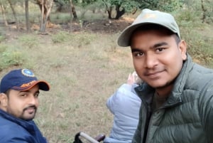 Jaipur: Escursione di un giorno al safari della tigre di Ranthambhore