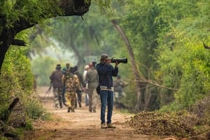 Jaipur: Safari nel parco nazionale di Ranthambore con servizio di prelievo in hotel