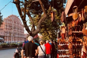 Jaipur: tour privato di forti e palazzi reali (auto con aria condizionata/tuk-tuk)