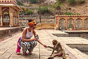 Jaipur: Royal Gems Full-Day Private Tour with Guide & AC Car