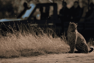Jaipur: Jhalana Amagarhin leopardisafariretkikohde