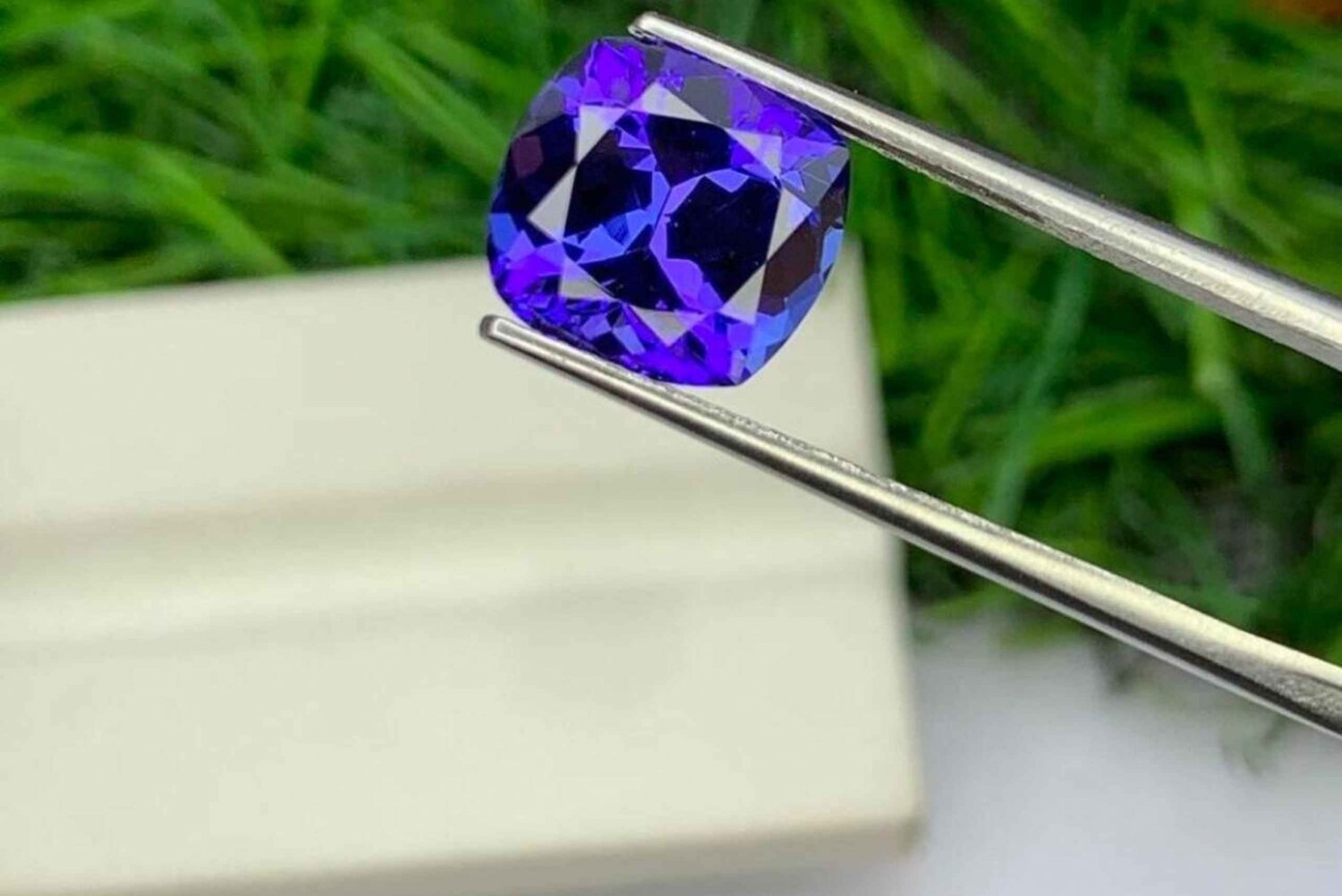 Jaipur: passeio turístico + caminhada + gastronomia + atividades com elefantes