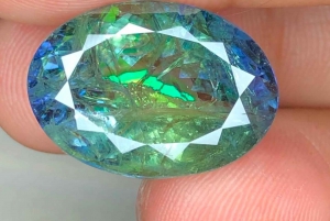 Jaipur: Sightseeing+Walking +Food + Elephant Activities Tour