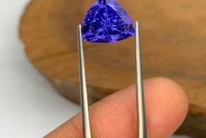 Jaipur: Sightseeing+Walking +Food + Elephant Activities Tour