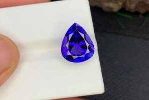 Jaipur: Sightseeing+Walking +Food + Elephant Activities Tour