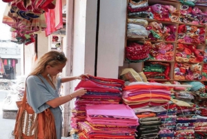 Jaipur: Sightseeing+Walking +Food + Elephant Activities Tour