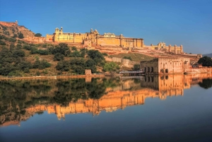 Jaipur: Sightseeingtur med besøk til Galtaji Monkey Temple