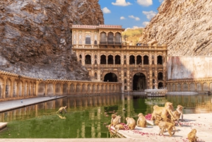 Jaipur: Sightseeingtur med besøk til Galtaji Monkey Temple