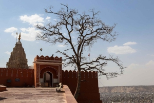 Jaipur: Sightseeingtur med besøk til Galtaji Monkey Temple