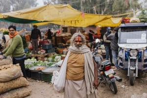 Jaipur: Tempel Tour