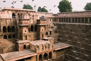 Jaipur til Agra via Chand Baori, Bharatpur og Fatehpur Sikri