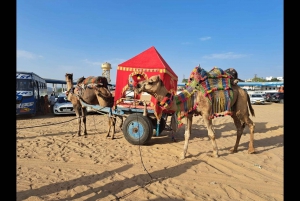 Jaipur to Puskar Same Day trip