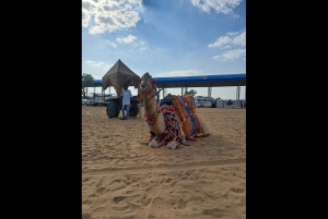 Jaipur to Puskar Same Day trip