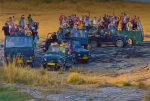 Ranthambore Jungle Safari Trip from Jaipur by Car and Ticket