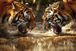 Jaipur to Ranthambore National Park Wildlife Safari