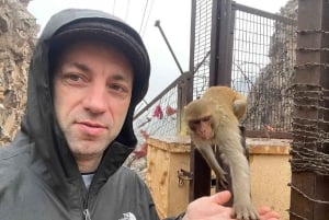 Jaipur: De største attraktioner og en tur til blomsterdalen i bil