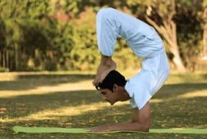 Jaipur: Traditional Indian Yoga Experience