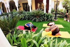 Jaipur: Traditional Indian Yoga Experience