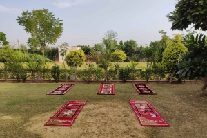 Jaipur: Traditionell indisk yogaupplevelse