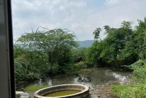 Jaipur: Village Tour with Local Activities