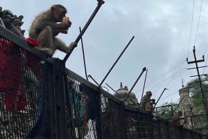 Jaipur: Village Tour with Local Activities