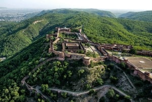 Сафари на джипах в заповеднике Джалаана, Джайпур: рассвет и закат