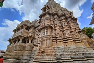 All-in dagtour door Jodhpur met tickets