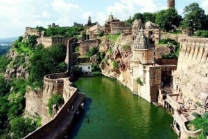 All-in dagtour door Jodhpur met tickets