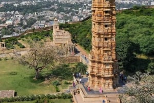 All-in dagtour door Jodhpur met tickets