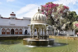 All-in dagtour door Jodhpur met tickets